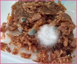 コンタミや発酵失敗となる要因と予防法