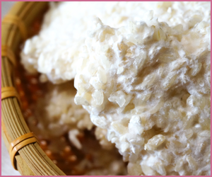 良い酒粕の購入方法・保管方法