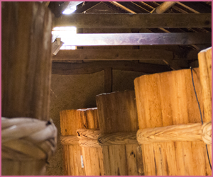 酒粕を生かした発酵にかかる時間
